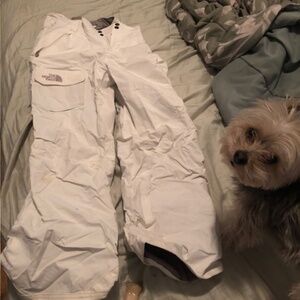 Petite Ski Pant - North Face HyVent in Girls XL